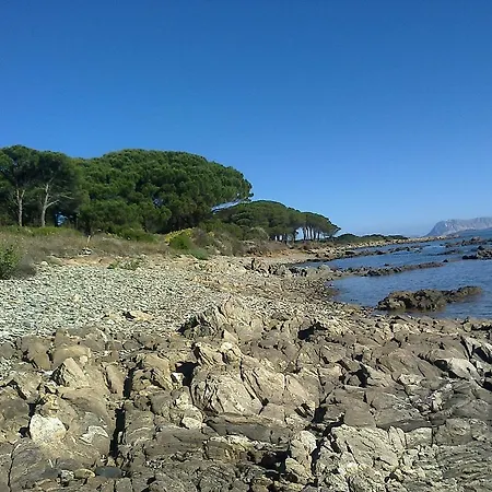 Διαμέρισμα Maremontihouse *